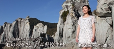 top-pic02.jpg